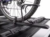 RealTruck Elevate Bike Carrier — view 1 of 5