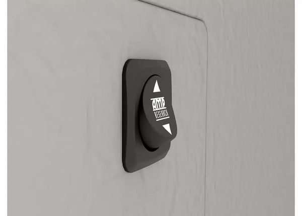 AMP Research PowerStep Override Switch
